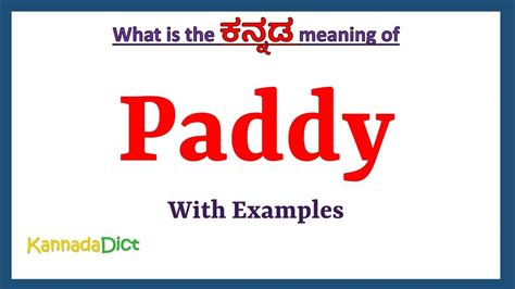 paddy|paddy meaning.